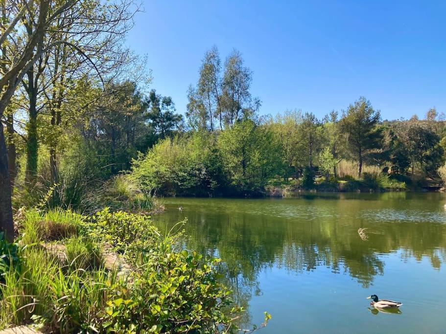 Les Restanques Cabriere 3123 Vue Mer 3 Chambres Grimaud Eksteriør bilde