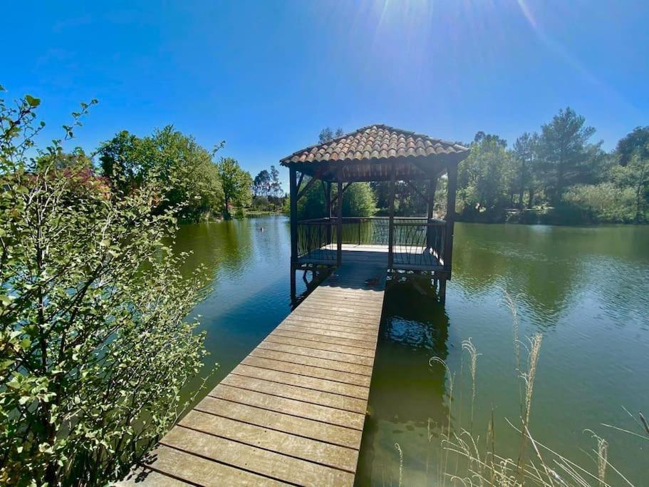 Les Restanques Cabriere 3123 Vue Mer 3 Chambres Grimaud Eksteriør bilde